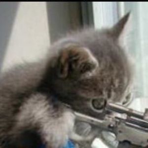 Meet your Posher, Dominick